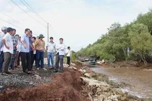 Bạc Liêu công bố tình huống khẩn cấp sạt lở đê biển Đông