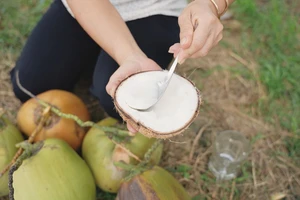 Trà Vinh tổ chức Festival 100 năm Dừa sáp và Tuần lễ Vu lan thắng hội