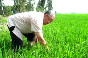 Giáo sư Võ Tòng Xuân - người làm gì cũng nghĩ đến lợi ích của nông dân