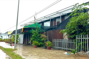 TP Cần Thơ: Chưa đầy 1km, phát hiện 3 công trình trái phép trên đất lúa