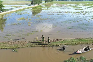 Đồng Tháp ứng phó với triều cường và lũ thượng nguồn