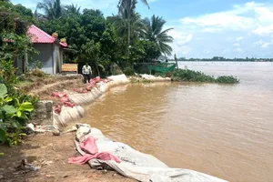 Đồng Tháp khẩn trương khắc phục sạt lở bờ sông Tiền