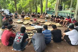 Hàng chục người đá gà ăn tiền trong khu mộ ở Vĩnh Long