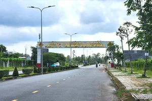 Cần Thơ: Giao, chuyển mục đích sử dụng đất lúa trên 10ha không đúng quy định