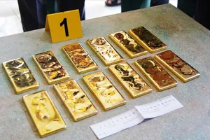 Đang chở 12 kg vàng thì bị Biên phòng An Giang bắt giữ