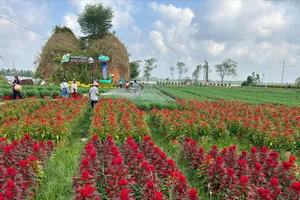 Đón hơn 9 triệu du khách, du lịch Bến Tre thu về hơn 11.000 tỉ đồng