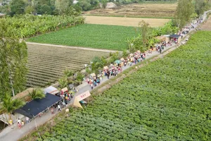 Độc đáo chợ phiên Xóm Rẫy ở Đồng Tháp