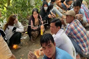 Hơn 40 người lắc tài xỉu trong vườn mãng cầu ở Cần Thơ