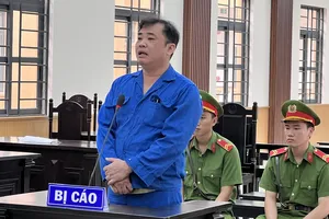 Doanh thu 176 tỉ, chỉ kê khai 22 tỉ, giám đốc công ty lãnh án