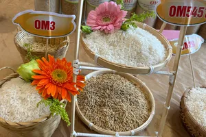 Định vị lại hạt gạo Việt Nam trên bản đồ thế giới