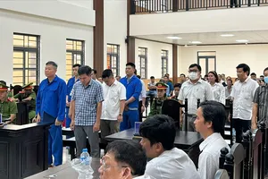 Tuyên án 14 bị cáo vụ xây kè chống sạt lở, gây thiệt hại hơn 12,6 tỉ đồng ở An Giang 