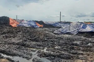 Giám đốc công ty bị khởi tố vì xả nước thải vỏ hột xoài ra môi trường