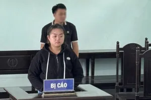 Bảo mẫu lãnh án treo vì hành hạ bé gái 2 tuổi