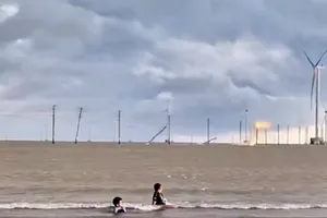 Sau sự cố 13 trụ điện ngã trên biển ở Vĩnh Long, yêu cầu chuyển sang cáp ngầm