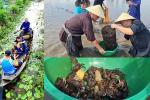 Đồng Tháp biến ký ức mùa nước nổi thành sản phẩm du lịch độc đáo, níu chân du khách