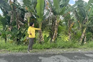 Vĩnh Long: Thắng kiện nhưng không thể lấy được tiền vì đương sự đi nước ngoài