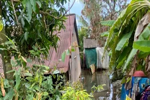 Đồng Tháp: Nước ngập nhà, 2 mẹ con bị điện giật tử vong