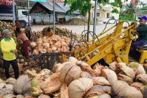 Sôi động làn sóng khởi nghiệp từ dừa, nhiều sản phẩm độc đáo xuất hiện