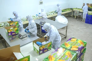 Đồng Tháp đặt mục tiêu tăng trưởng cao giai đoạn 2026–2030, tăng cường phòng chống tham nhũng 