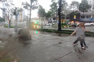 Bắt đầu bứng dưỡng, đốn hạ 75 cây xanh để làm metro