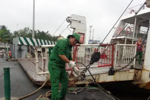 TP.HCM chuẩn bị ứng phó áp thấp nhiệt đới gần bờ