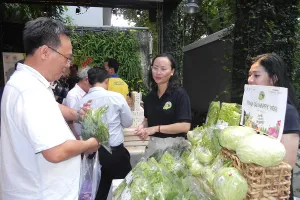 Heo rừng, gà… nuôi kiểu Mỹ ra chợ tết Việt