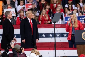 Thua Nhà Trắng và Hạ viện, Cộng hòa dồn sức giữ Thượng viện