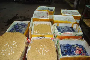 Tiêu hủy hàng trăm ký gia cầm không kiểm dịch trên đường vào TPHCM