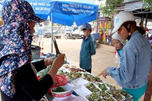 'Chảy nước miếng' với chợ hải sản ở Hồ Tràm