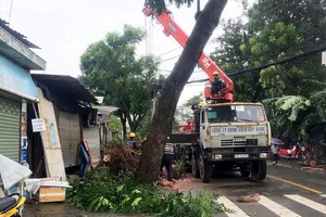 TP.HCM: Nhiều nơi thiệt hại nặng bởi cơn “cuồng phong” 