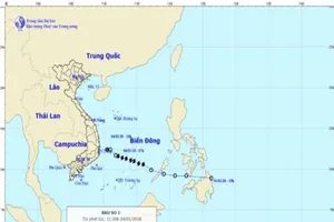 Bão suy yếu, TP.HCM cho tàu thuyền hoạt động trở lại