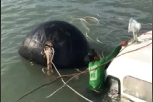 NÓNG: Đang trục vớt tàu cao tốc gặp sự cố ở Cần Giờ