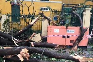 Cây gãy nhánh, đổ vào sân trường sau cơn mưa lớn ở quận 1