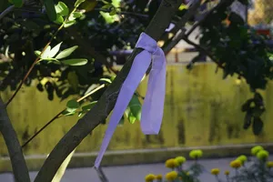 Những chuyện chưa kể về vườn cây của bác Hai Nghĩa