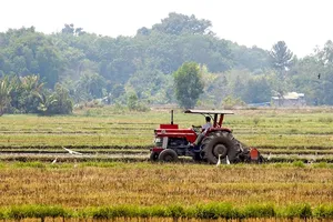 Ông Nguyễn Thành Phong làm Trưởng ban chỉ đạo phát triển 5 huyện thành quận