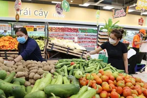 Hôm nay 24-7, TP.HCM tiếp nhận 25 tấn rau, củ từ thiện bằng tàu cao tốc