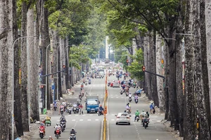 Thông báo mới ngày 11-12 về cấp độ dịch trên địa bàn TP.HCM