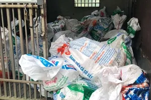 Phát hiện gần 1,6 tấn heo sữa thối từ miền Trung vào TP.HCM tiêu thụ