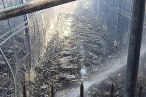 Các phương tiện bị cháy trơ khung. Ảnh: TỰ SANG