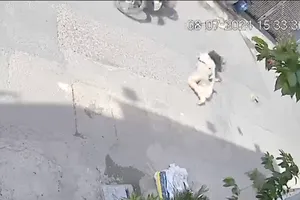 Công an quận 12 tìm người chạy xe máy đụng bé gái 11 tuổi rồi bỏ trốn