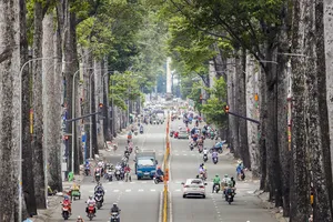 Chủ tịch TP.HCM chỉ đạo rà soát hệ thống cây xanh, đảm bảo an toàn mùa mưa bão