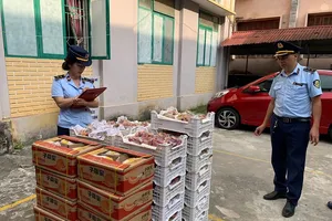 Cuối năm, phát hiện lượng lớn hoa quả nhập lậu từ Trung Quốc