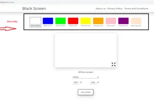 Hướng dẫn cách test màn hình thiết bị điện tử trực tuyến bằng blackscreen.tech