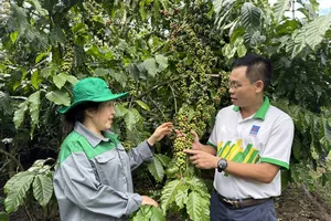 'Cho mùa bội thu' nhờ sử dụng phân bón hợp lý