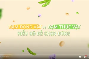 Hiểu toàn diện về đạm động vật và đạm thực vật để ăn khoẻ, sống lành
