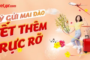 Vietjet vận chuyển mai, đào – Mang Xuân đến mọi nhà