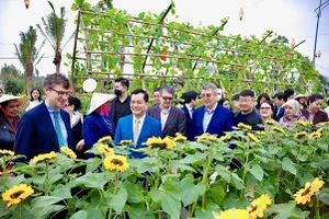 Đường hoa Home Hanoi Xuan 2024 mở cửa, hàng ngàn lượt khách hào hứng trải nghiệm hương Xuân - vị Tết tại Mailand Hanoi City