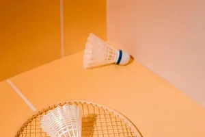 5 loại phụ kiện FB Sport khuyên dân chơi cầu lông nên có