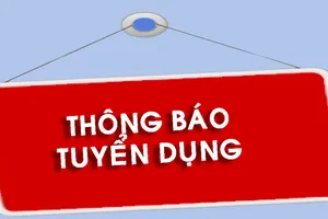 Trường Đại học Luật Thành phố Hồ Chí Minh thông báo tuyển dụng năm 2024