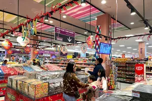 AEON Việt Nam sẵn sàng phục vụ Tết Nguyên đán 2025, đảm bảo nguồn cung dồi dào, nhiều ưu đãi hấp dẫn